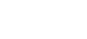Google Partner
